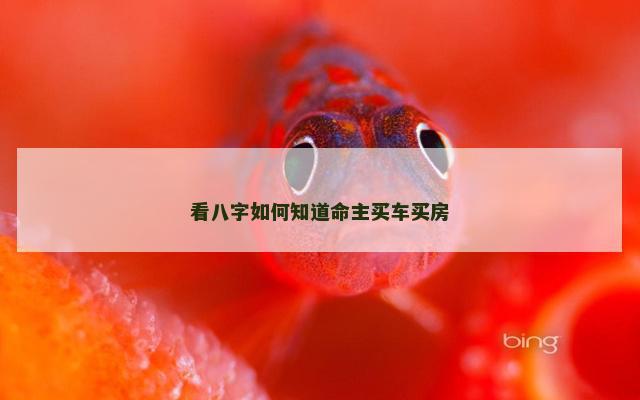 看八字如何知道命主买车买房