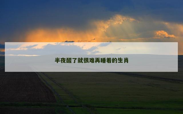 半夜醒了就很难再睡着的生肖