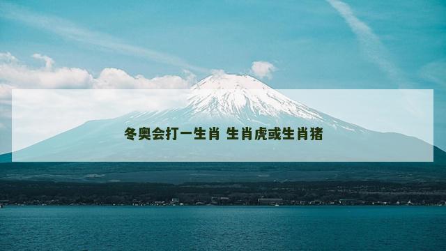 冬奥会打一生肖 生肖虎或生肖猪 冬奥会打一生肖 生肖虎或生肖猪