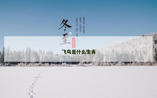 飞鸟是什么生肖