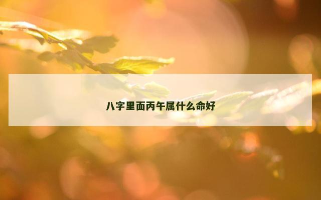 八字里面丙午属什么命好