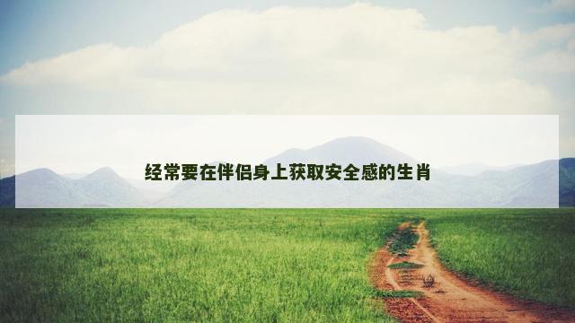 经常要在伴侣身上获取安全感的生肖 经常要在伴侣身上获取安全感的生肖