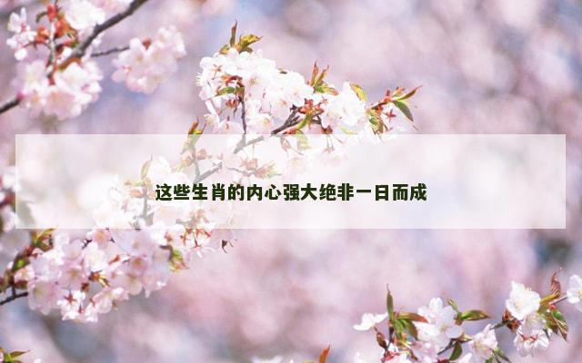 这些生肖的内心强大绝非一日而成