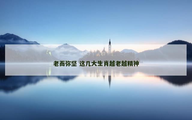 老而弥坚 这几大生肖越老越精神