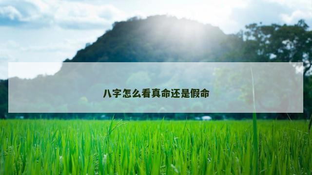 八字怎么看真命还是假命 八字怎么看真命还是假命