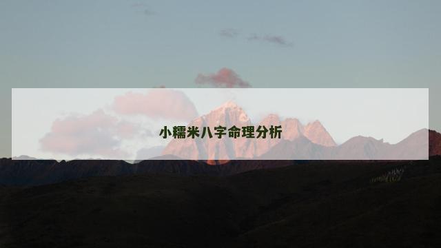 小糯米八字命理分析