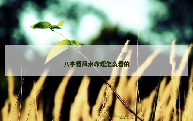 八字看风水命理怎么看的 八字看风水命理怎么看的