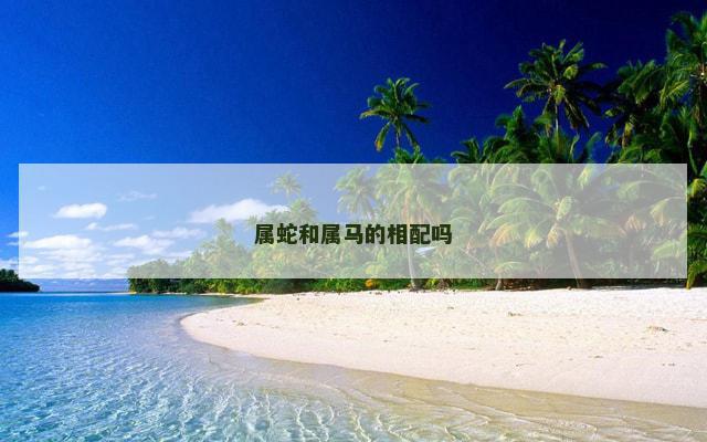 属蛇和属马的相配吗