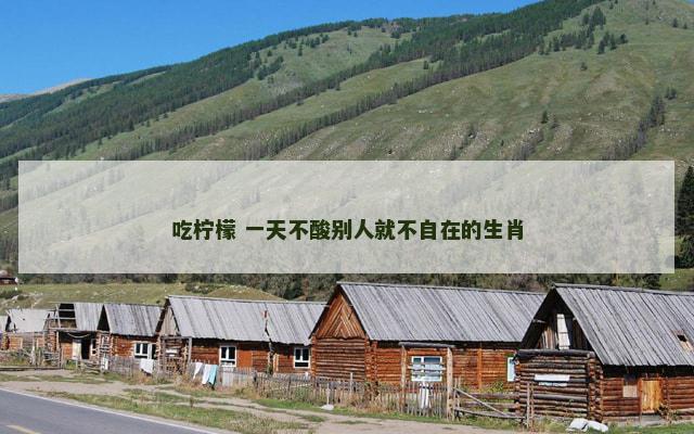 吃柠檬 一天不酸别人就不自在的生肖