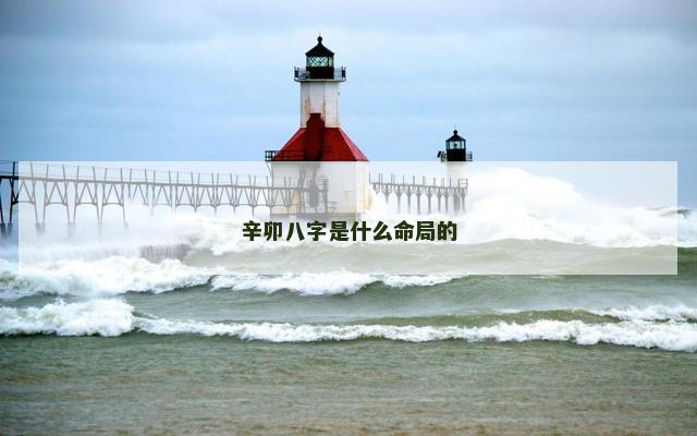 辛卯八字是什么命局的