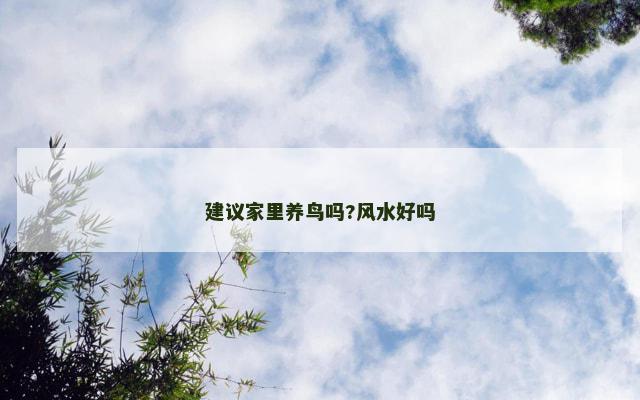 建议家里养鸟吗?风水好吗