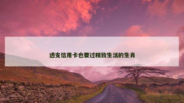 透支信用卡也要过精致生活的生肖