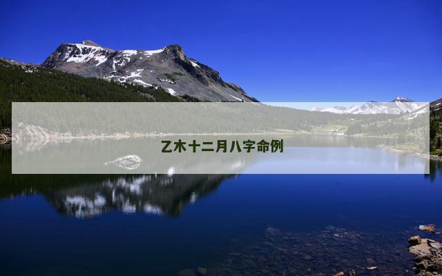 乙木十二月八字命例 乙木十二月八字命例