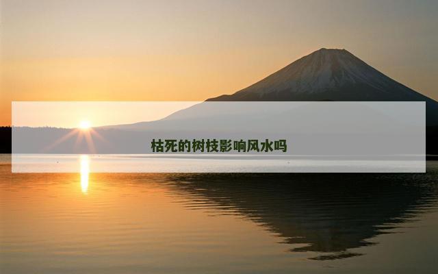 枯死的树枝影响风水吗