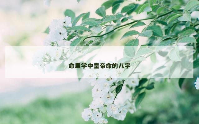 命里学中皇帝命的八字
