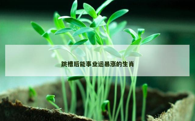 跳槽后能事业运暴涨的生肖