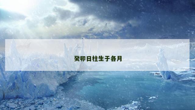 癸卯日柱生于各月