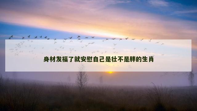 身材发福了就安慰自己是壮不是胖的生肖