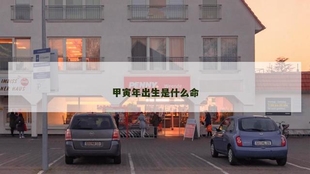 甲寅年出生是什么命