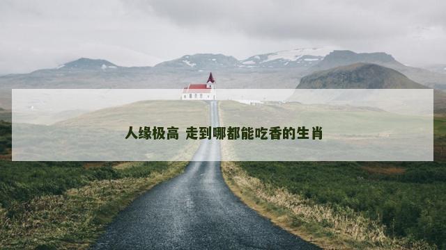 人缘极高 走到哪都能吃香的生肖