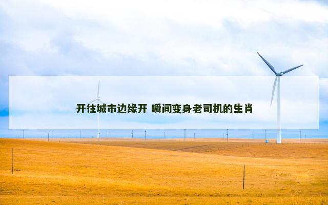 开往城市边缘开 瞬间变身老司机的生肖