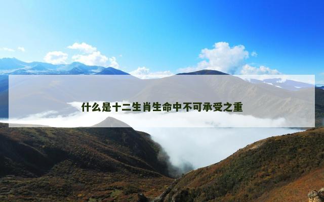 什么是十二生肖生命中不可承受之重