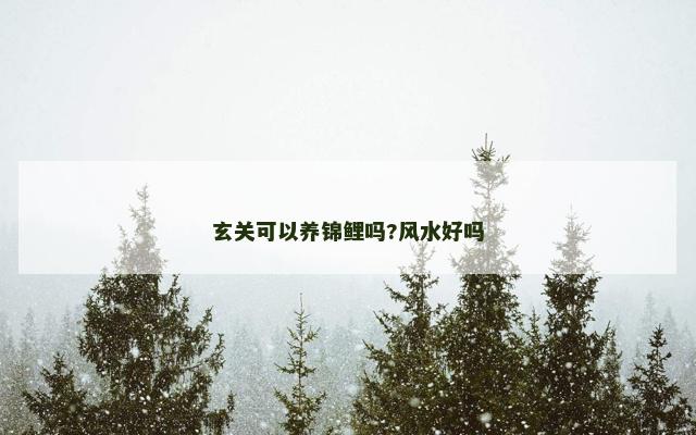 玄关可以养锦鲤吗?风水好吗