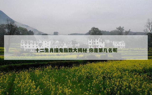 十二生肖撞鬼指数大揭秘 你是第几名呢