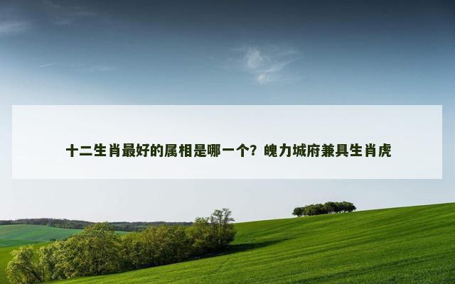 十二生肖最好的属相是哪一个？魄力城府兼具生肖虎