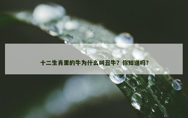十二生肖里的牛为什么叫丑牛？你知道吗？