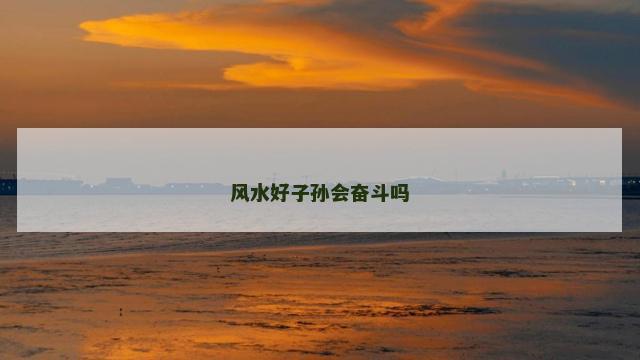 风水好子孙会奋斗吗