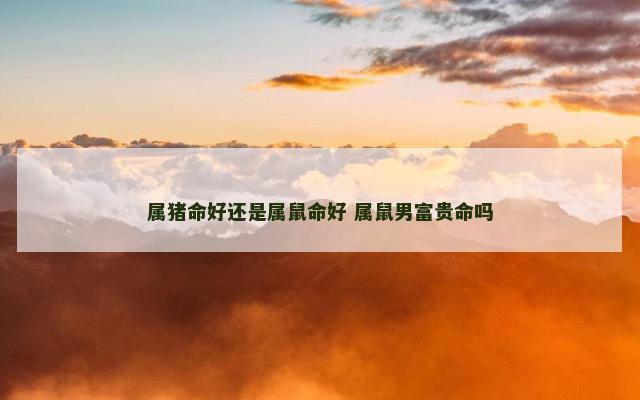 属猪命好还是属鼠命好 属鼠男富贵命吗 属猪命好还是属鼠命好 属鼠男富贵命吗