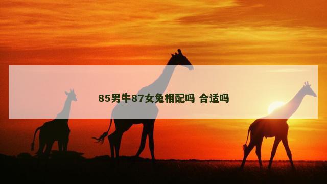 85男牛87女兔相配吗 合适吗 85男牛87女兔相配吗 合适吗
