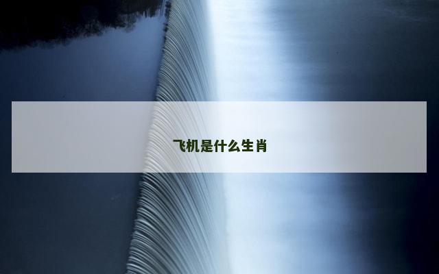 飞机是什么生肖