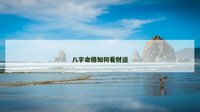 八字命格如何看财运