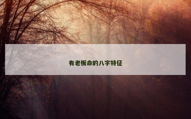 有老板命的八字特征
