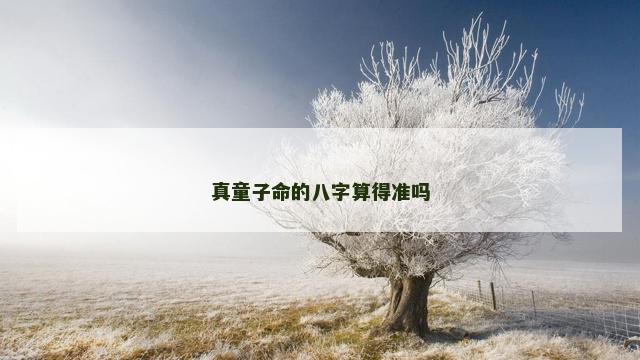 真童子命的八字算得准吗