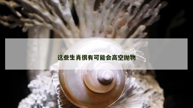 这些生肖很有可能会高空抛物