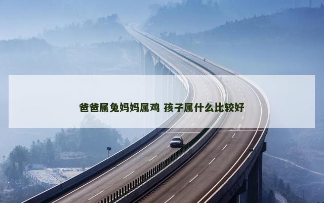 爸爸属兔妈妈属鸡 孩子属什么比较好