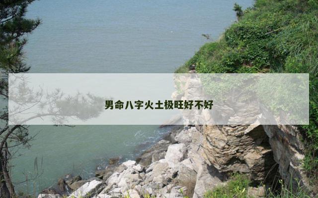 男命八字火土极旺好不好