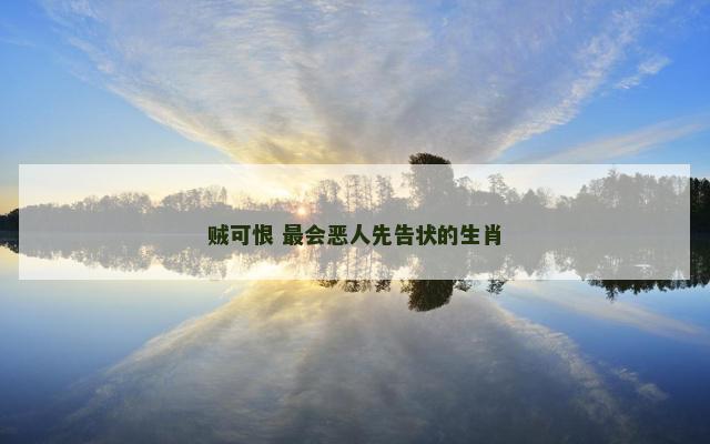 贼可恨 最会恶人先告状的生肖