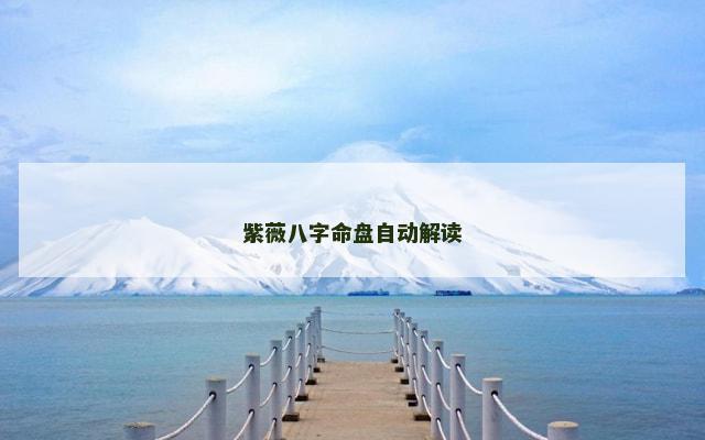 紫薇八字命盘自动解读 紫薇八字命盘自动解读