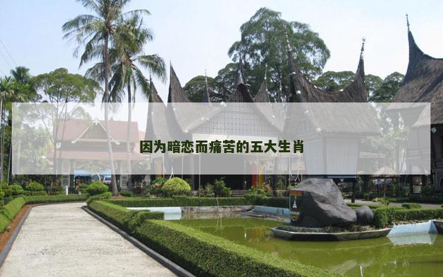 因为暗恋而痛苦的五大生肖