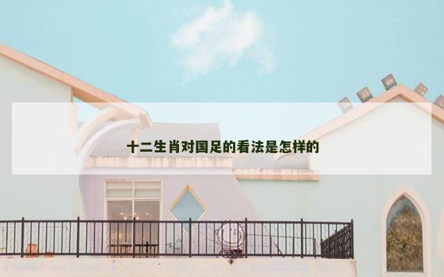 十二生肖对国足的看法是怎样的