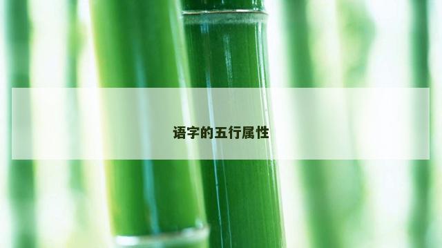 语字的五行属性 语字的五行属性