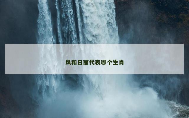 风和日丽代表哪个生肖