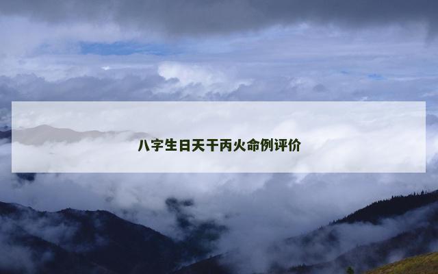 八字生日天干丙火命例评价 八字生日天干丙火命例评价