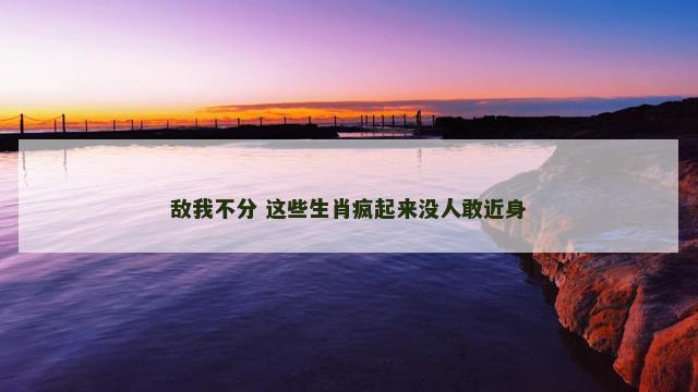 敌我不分 这些生肖疯起来没人敢近身