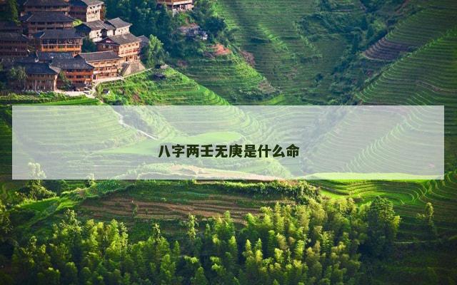 八字两壬无庚是什么命