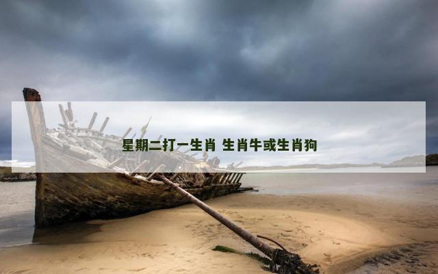 星期二打一生肖 生肖牛或生肖狗
